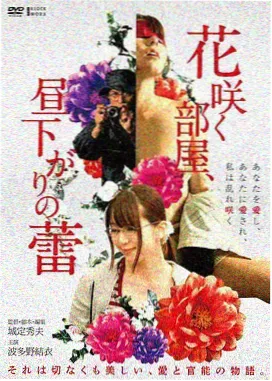 青春剧情电影无人认领的夏天免费观看封面